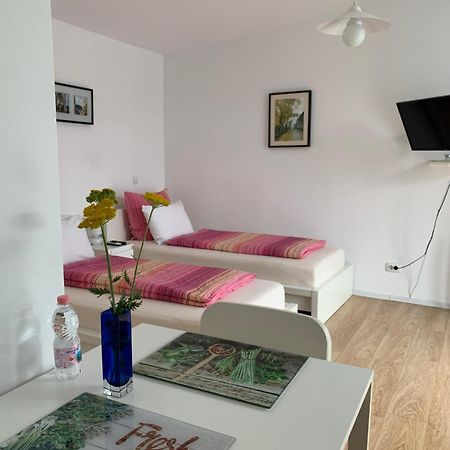Hotel Casa Petri Sînpetru Esterno foto